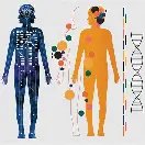 Factores biológicos