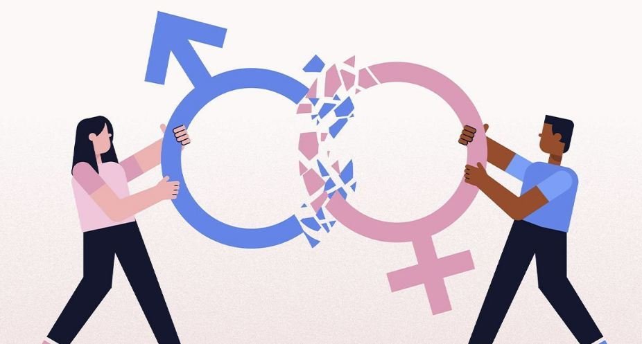 Ilustración del sistema sexo-género